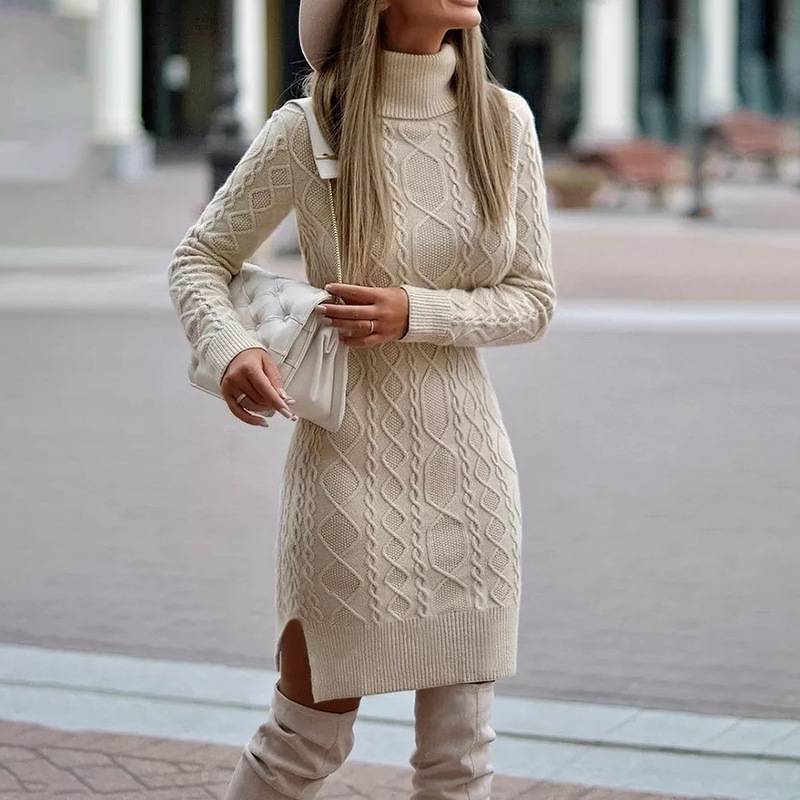 Turtleneck Knitted Dress